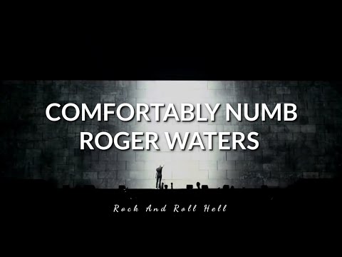 Roger Waters - David Gilmour | Comfortably Numb | Subtitulado En Español + Lyrics | Live 2011