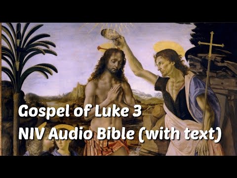 Luke 3: NIV Audio Bible(with text)
