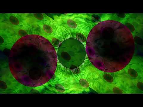 WIZRD - Dubstep/Variety EDM A/V Mix by tnzn