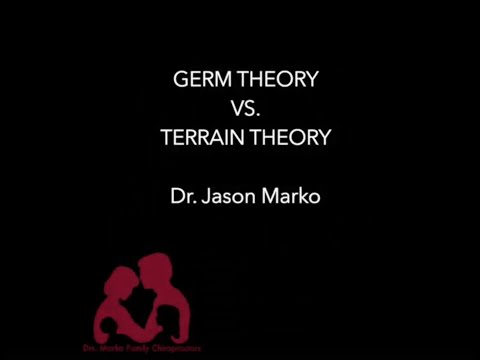 Immunity and chiropractic, germ theory and terrain theory