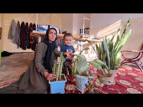 Beautiful garden. Planting Fatima flowers to make the sewing room more beautiful