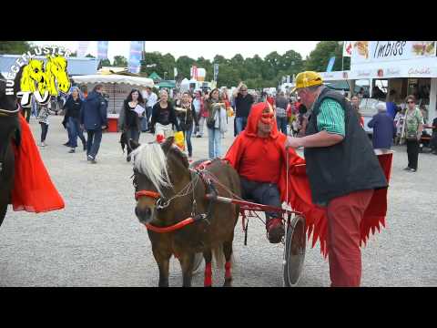 Fohlenhof Farbenfroh aus Kaufbeuren / Allgaeu auf der Pferd International 2014 in Riem