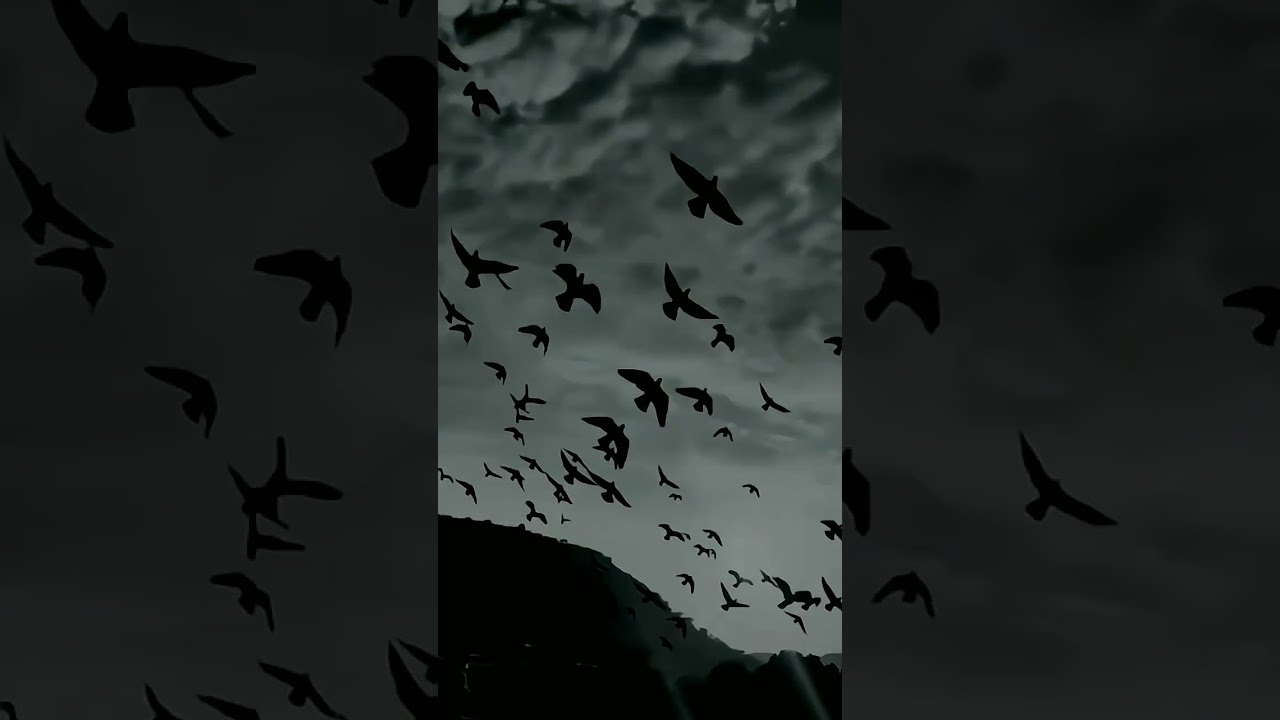 Coldplay - Hymn For The Weekend  | Aesthetic video #coldplay #hymnfortheweekend