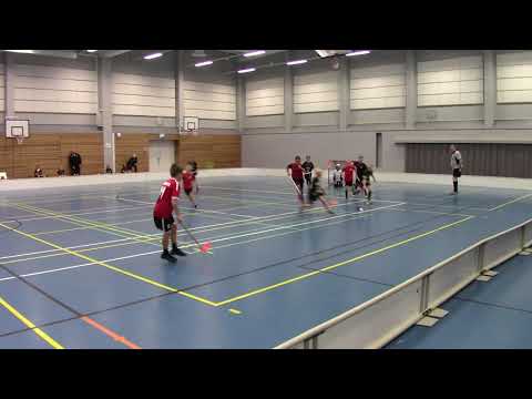 LNM 2 - HaHe P-06 musta