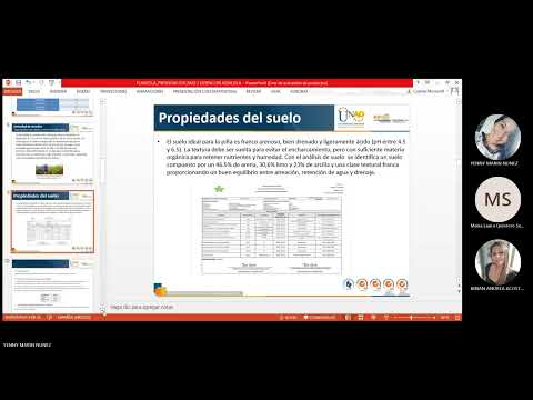 Riegos y Drenajes en el cultivo de Piña en Campoalegre-Huila