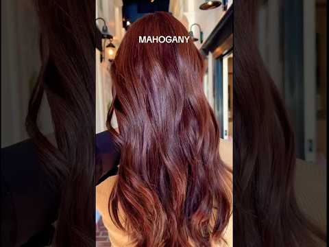 Loreal 5.5 hair color | loreal mahogany hair color | #shorts #shortsvideo #mahoganycolor #trending