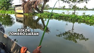 Download lagu Petualangan saya mancing dilamongan ahirnya dapet yang besar juga ikan tombro nya mp3