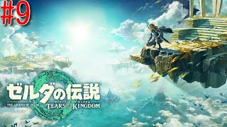 【ゼルダの伝説 ティアーズ オブ ザ キングダム】 #9