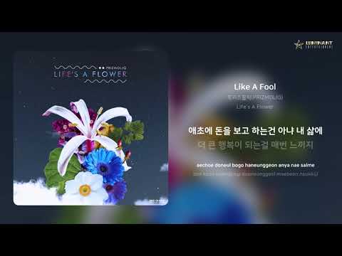 프리즈몰릭(PRIZMOLIQ) - Like A Fool | 가사 (Lyrics)