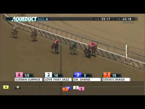 Sudden Surprise - 2015 Notebook Stakes