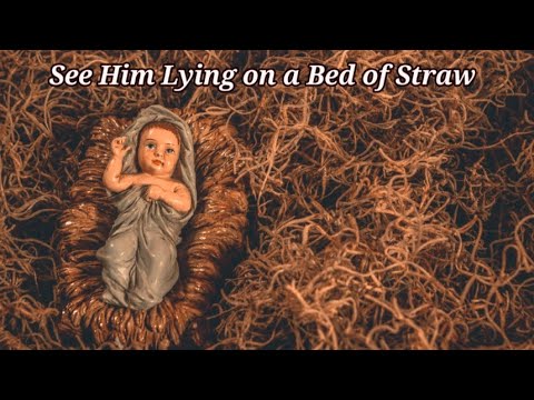 See Him Lying On A Bed Of Straw - Michael Perry