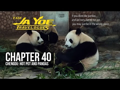 Chengdu: Hot Pot and Pandas | JaYoe Travelogues | Chapter 40