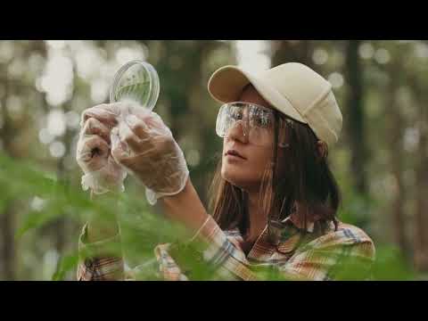 The Unexpected Math Behind Van Gogh's Starry Night