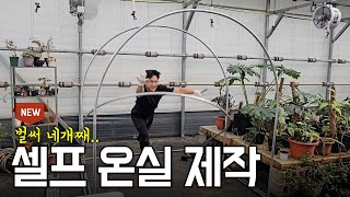 하우스 안에 하우스 있다.. ㅣ 당근