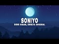 Soniyo Lyrics Sonu Nigam Shreya Ghoshal Raju Singh