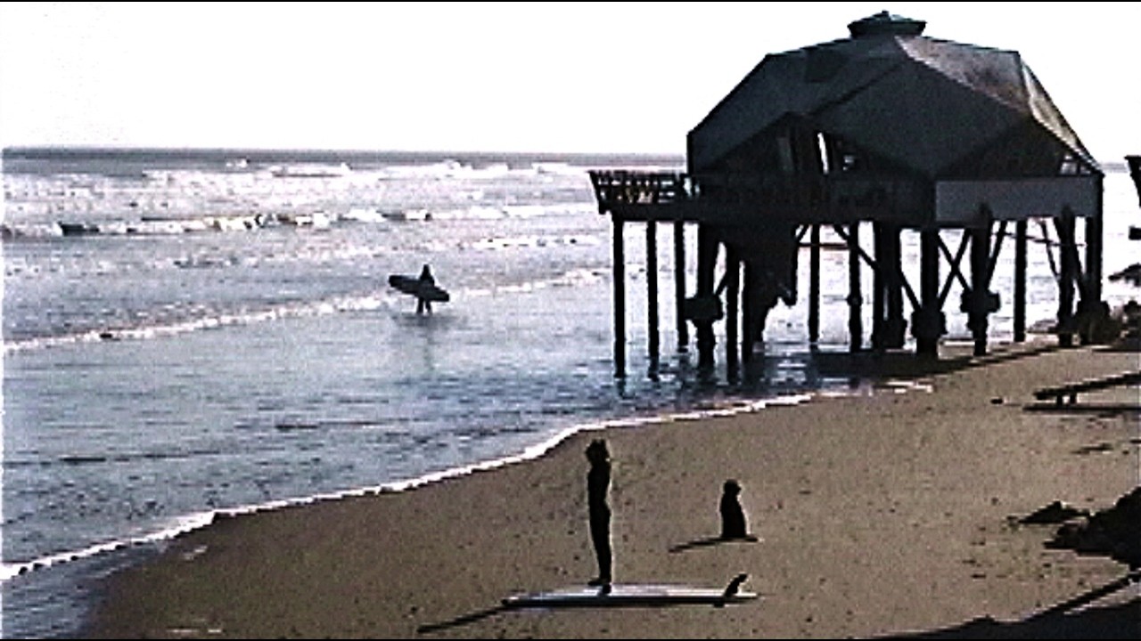 The Octagon - Texas Surf History