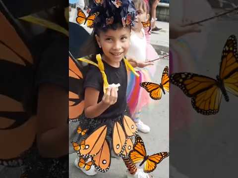Traje de Mariposa 🦋 con reciclaje ♻️ desfile de insectos en Itagüí Antioquia Medellín #disfraz