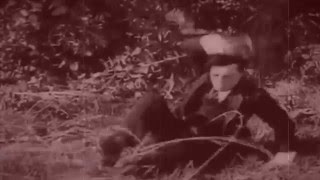 Aiken - Gathered [Semantica Records]