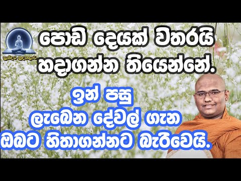 මේ බුද්ද ශාසනයේ හෙවනැල්ලවත් වැටෙන්නේ මේ විදිහට හිටියොත්|mathara mahinda thero|bana|dharma dakshinawa