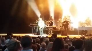 Wild Honey - Brian Wilson - Lyon Fourvière 2017