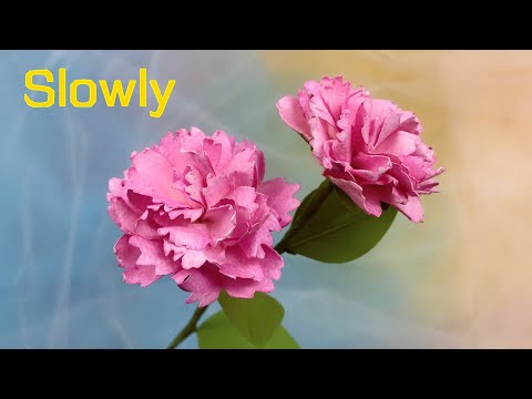 ABC TV | How To Make Paper Flower #2 (Slowly) - Craft Tutorial