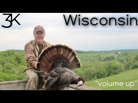 Wisconsin Turkey Hunting (INSANE GOBBLING)