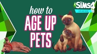 How to AGE UP PETS in The Sims 4: Cats & Dogs 🐱🐶