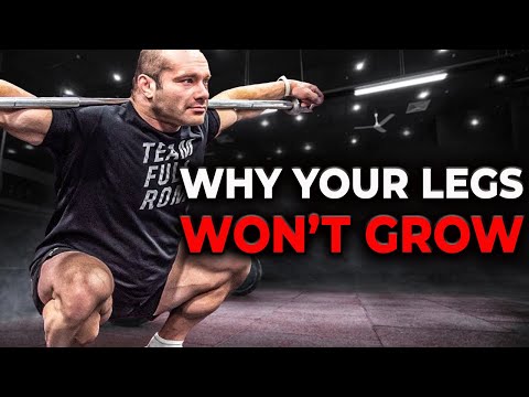 Training Legs With Dr. Mike Israetel For Massive Gains [Full Workout]