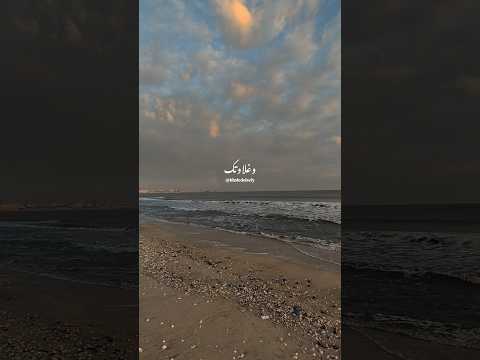 أنا مُغرم بعنيكي السود ❤️ #خالد_الصيفي #عمرو_دياب #وغلاوتك #رومانسي #حالات_واتس #حب