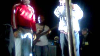 fidel-picadura de avispa(promo)