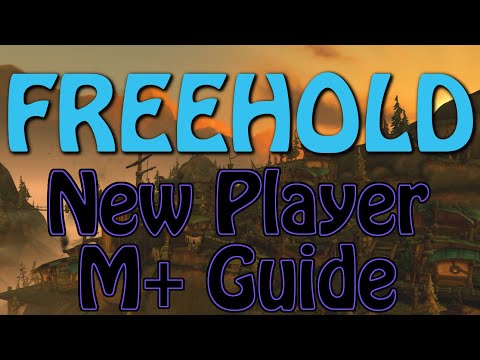 Freehold - New Player Mythic+ Pugging Guides - Avoiding Common Errors and Overview
