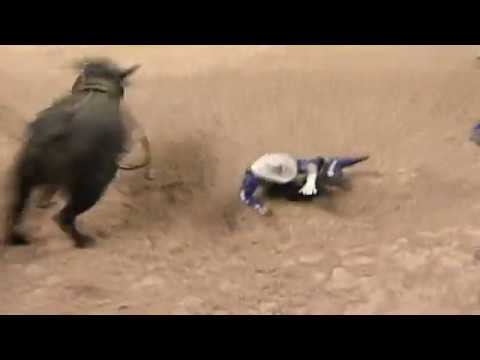 Copperhead Slinger bucks Chris Shivers - 06 PBR Finals