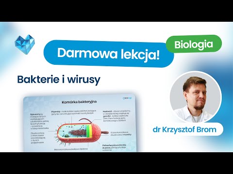 Bakterie i wirusy – matura biologia 2026+ – lekcja – Kurs maturalny z biologii Biomedica