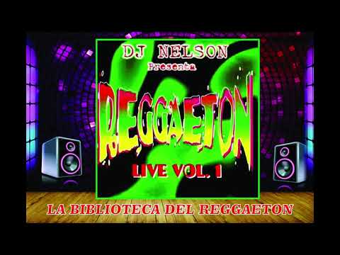Bebe _ Dj Nelson  Reggaeton Live Vol 1