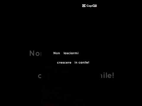 Regalo Elsa Splendida Cucciola Simil Pastore In Canile