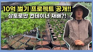 10억 벌기 프로젝트 공개! 그리고 2021년 삽목 현황?!