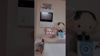 【主婦のvlog】普通ってどう？ #vlog #主婦vlog #40代ショート #japan #ねこのいる生活 #日常 #主婦