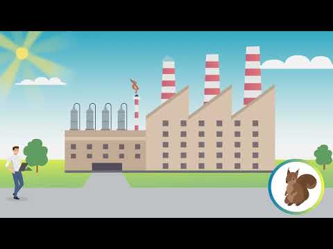 Energieauditor - Energiemanagement Audit - Schulung nach DIN EN 16247 - Erklärfilm von EVA