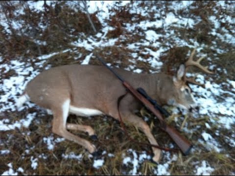 612outdoors.com : 9 Point 250 Pound MN Piebald Buck