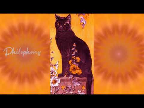 K, Le Maestro - BMO 2001 (BREAK MISSY OFF)