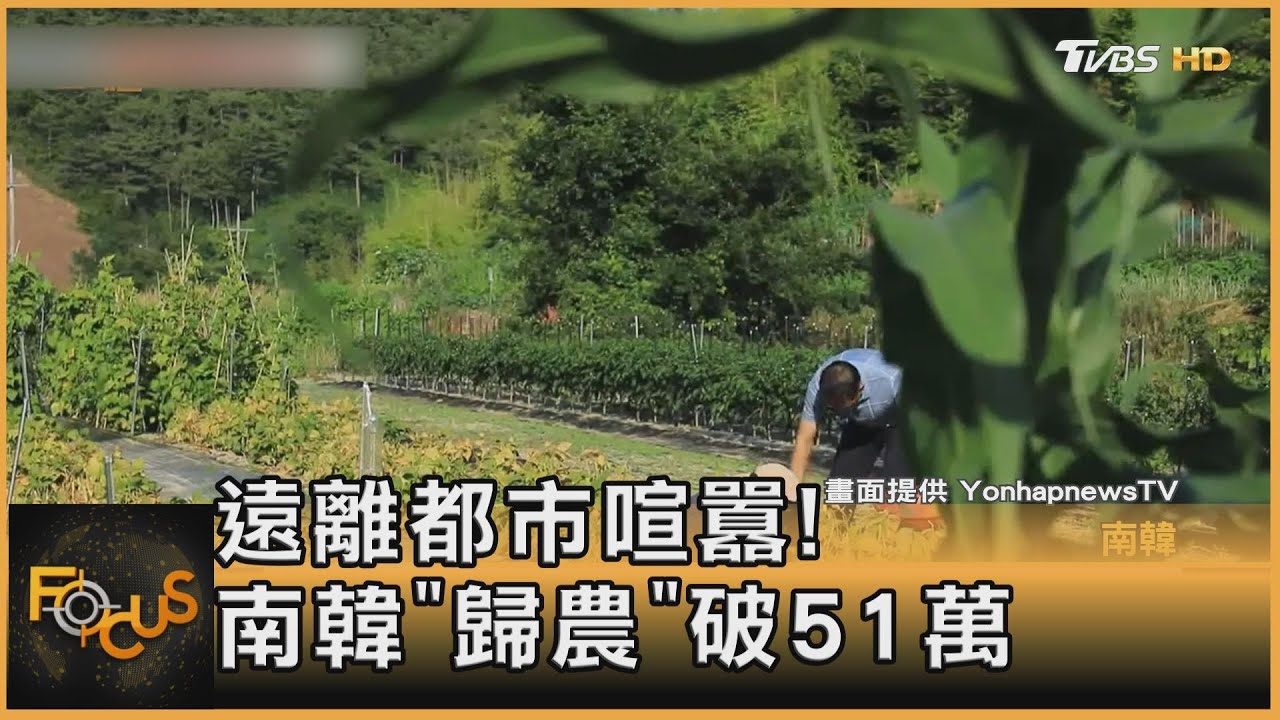 遠離都市喧囂! 南韓「歸農」破51萬人