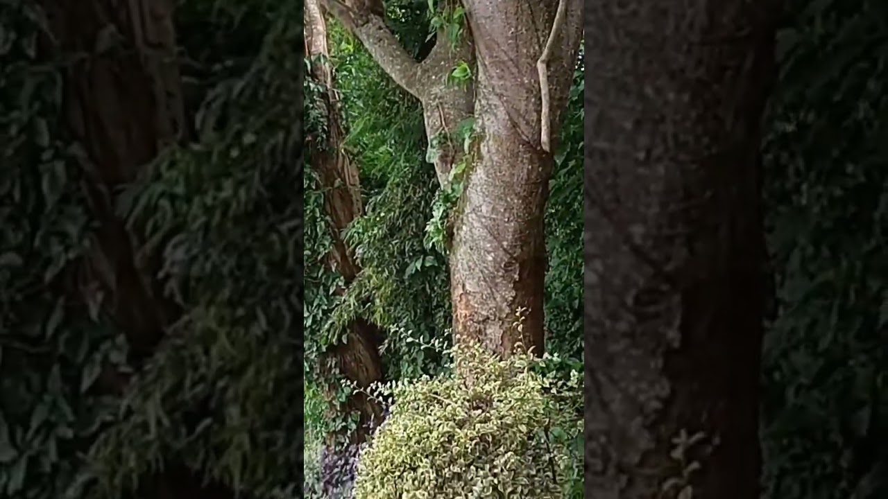 WISATA ADVENTURE DI P-WEC