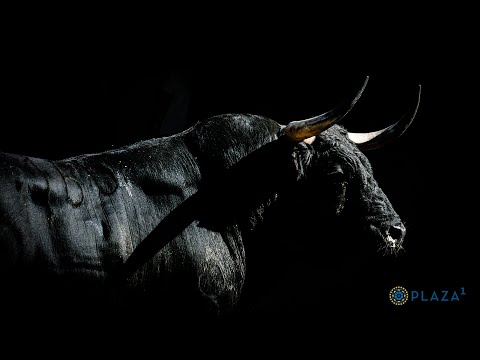SORTEO | Corrida de toros 11 junio, Victoriano del Río, Toros de Cortés