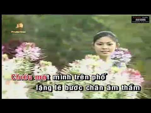 Mưa phố - Cẩm Ly