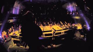 Congo Natty Jah Warriors