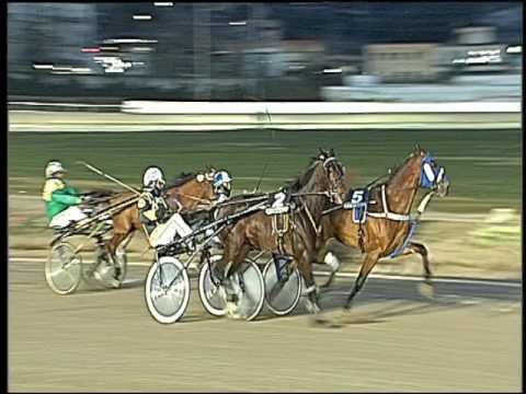 Trotto 10/01/2017 - 5ª corsa