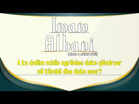 Imam Albani - A ka dallim midis ngrenies duke qendruar ne kembe dhe duke ecur?