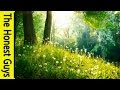 3 HOURS of Relaxing Music - Relaxation Music ...