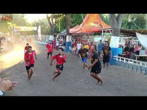 banteng muda vs srigala