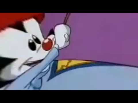 Wakko's America Bulgarian But It's In 360° And You Can't Move The Screen